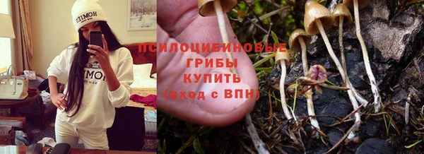 бошки Карпинск