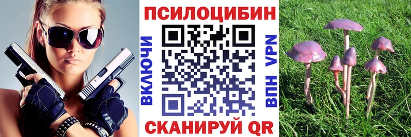 Галлюциногенные грибы GOLDEN TEACHER  Купить закладки  Дорогобуж 